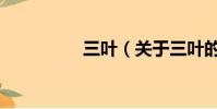 三叶(关于三叶的简介)