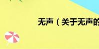 无声(关于无声的简介)