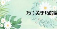 巧(关于巧的简介)