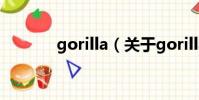 gorilla(关于gorilla的简介)