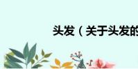 头发(关于头发的简介)