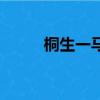 桐生一马（关于桐生一马的简介）