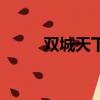 双城天下（关于双城天下的简介）