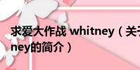 求爱大作战 whitney(关于求爱大作战 whitney的简介)