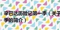 辛巴达历险记第一季(关于辛巴达历险记第一季的简介)