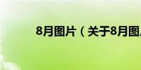 8月图片(关于8月图片的简介)