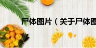 尸体图片(关于尸体图片的简介)