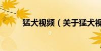 猛犬视频(关于猛犬视频的简介)