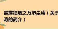 霹雳狼烟之万堺尘涛(关于霹雳狼烟之万堺尘涛的简介)