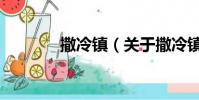 撒冷镇(关于撒冷镇的简介)