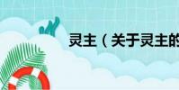 灵主(关于灵主的简介)
