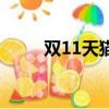 双11天猫（关于双11天猫的简介）