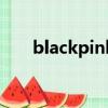 blackpink（关于blackpink的简介）