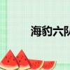 海豹六队（关于海豹六队的简介）