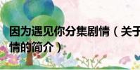 因为遇见你分集剧情(关于因为遇见你分集剧情的简介)