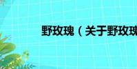 野玫瑰(关于野玫瑰的简介)