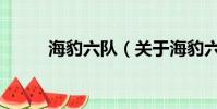 海豹六队(关于海豹六队的简介)