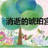 消逝的琥珀宫（关于消逝的琥珀宫的简介）