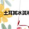 土耳其冰淇淋（关于土耳其冰淇淋的简介）