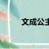 文成公主（关于文成公主的简介）