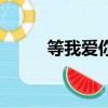 等我爱你（关于等我爱你的简介）