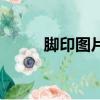 脚印图片（关于脚印图片的简介）