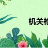 机关枪（关于机关枪的简介）