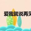 爱我就说再见（关于爱我就说再见的简介）