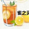 雀之灵（关于雀之灵的简介）