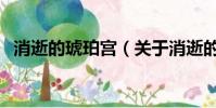 消逝的琥珀宫(关于消逝的琥珀宫的简介)