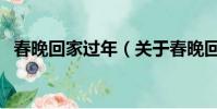 春晚回家过年(关于春晚回家过年的简介)