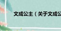 文成公主(关于文成公主的简介)