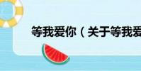 等我爱你(关于等我爱你的简介)