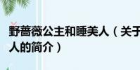 野蔷薇公主和睡美人(关于野蔷薇公主和睡美人的简介)