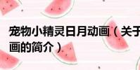 宠物小精灵日月动画(关于宠物小精灵日月动画的简介)