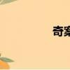 奇案（关于奇案的简介）