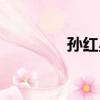 孙红星（关于孙红星介绍）
