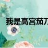 我是高宫茄乃（关于我是高宫茄乃的简介）