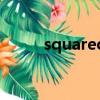 squared（关于squared的简介）