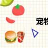 宠物（关于宠物的简介）
