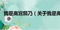 我是高宫茄乃(关于我是高宫茄乃的简介)