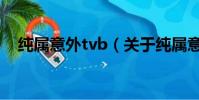 纯属意外tvb(关于纯属意外tvb的简介)