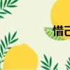 惜己（关于惜己的简介）