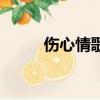 伤心情歌（关于伤心情歌的简介）