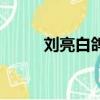 刘亮白鸽（关于刘亮白鸽的简介）