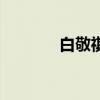 白敬祺（关于白敬祺的简介）