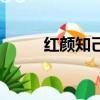 红颜知己（关于红颜知己的简介）