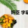 奸臣 字幕（关于奸臣 字幕的简介）