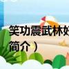 笑功震武林好看吗（关于笑功震武林好看吗的简介）