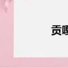 贡嘎（关于贡嘎的简介）